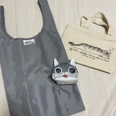 夜は猫といっしょ！キュルガ