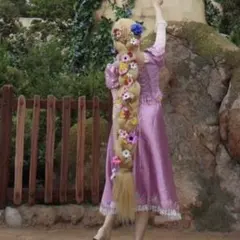 ラプンツェル　Dハロ仮装　フルセット Amazon.co.jp: [エアーズCOS] ラプンツェル 仮装 グリーティング