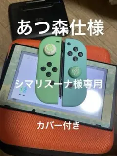 Nintendo Switch Joy-Conのみ　あつ森バージョン☆
