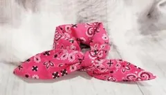 小型犬に嬉しい細いタイプ　クールネック 保冷剤3個　首回約20cm～在庫処分！のサムネイル