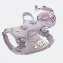 Item thumbnail for item e9d9a418-b85f-4890-8aab-de9b29ec9b8c