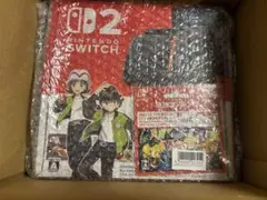 Nintendo Switch 本体 D2 ポケットモンスター