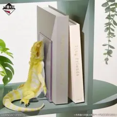一番くじ 爬虫類＆両生類 vol.3 A賞 フトアゴヒゲトカゲ ブック