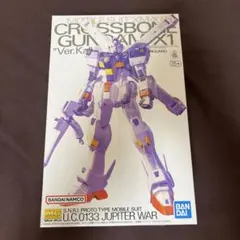 クロスボーンガンダムX3 MG 