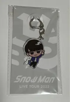 すのチル 渡辺翔太 アクリルキーホルダー アクキー