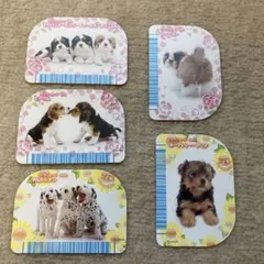 ゲームセンター　カードまとめ売り　いっしょにワンワン わいわいパピーのサムネイル