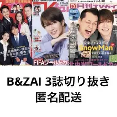 月刊ザテレビジョン TVガイドTVfan TVnavi B&ZAI 切り抜き - メルカリ