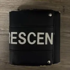 Item thumbnail for item 3a3b342d-9bf1-4898-be85-9653c282c523