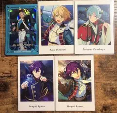 ぱしゃこれ　ぱしゃっつ　ALKALOID