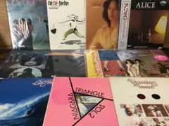 do2gemajin様 リクエスト 2点 まとめ商品