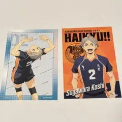 ハイキュー!! アニメイト特典 ビジュアルカード　クリアカード　菅原孝支