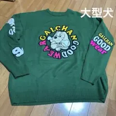 GALFY グリーン ニットセーター美品のサムネイル