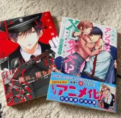 ボーイズラブ漫画 2冊セット