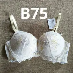 ワコール　アンフィブラジャー　B75