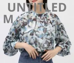 美品⭐︎UNTITLED シアー 長袖ブラウス M アンタイトル