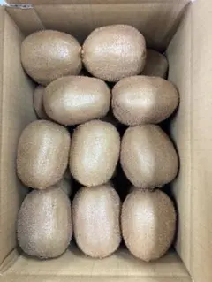 キウイフルーツ(グリーン)3kg 大玉(147g〜160未満)