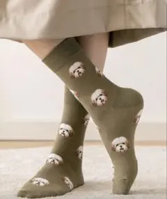 Item thumbnail for item 143511bc-af5d-4ce9-b2f4-023aaf45a348