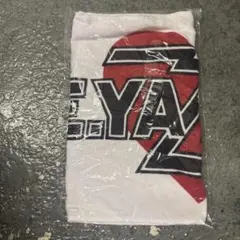 矢沢永吉 Doit!11月8日 東京ドーム限定 フェイスタオル ハート