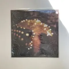 七尾旅人　Circus Night サーカスナイト　LP盤　アナログ盤 七尾旅人 Circus Night サーカスナイト LP盤 アナログ盤