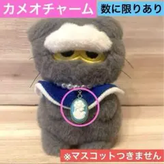 ZO&FRIENDS ZOA猫　ぬいぐるみマスコット ZO&FRIENDS ZOA猫 BIGぬいぐるみ - メルカリ