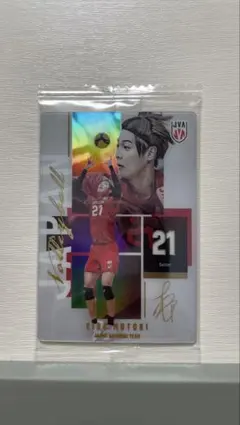 永露元稀 バレーボール日本代表 トレーディングカード
