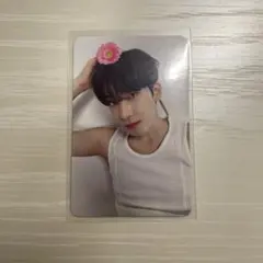 seventeen we make you ウォヌ　carat盤　トレカ SEVENTEEN セブチWE MAKE YOU アルバムトレカウォヌ