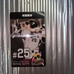 阪神甲子園球場 ロイヤルスイート 記念グッズ