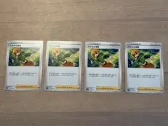 ナタネの活気　4枚セット