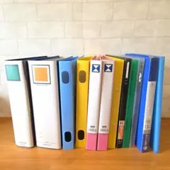 Item thumbnail for item 8438a605-74ca-40ef-b7c5-83ce149f2ef5