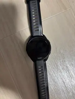 forerunner165