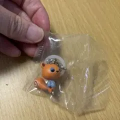 あつまれ どうぶつの森 めじるしアクセサリー リッキー
