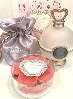 2025年最新】ラデュレ ポットの人気アイテム - メルカリ