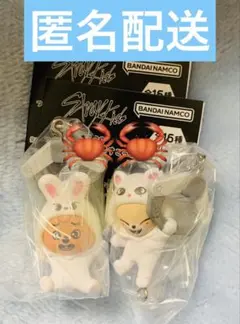 skzoo つまんでつなげてますこっと ジニレット アイエン ハン　リービット