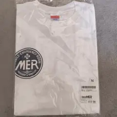 Item thumbnail for item ec57f3c4-ad1e-4423-bee3-a1bf6a88d635