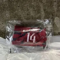 Item thumbnail for item 56e5c3ba-1dce-4b49-97aa-3c6feb128579