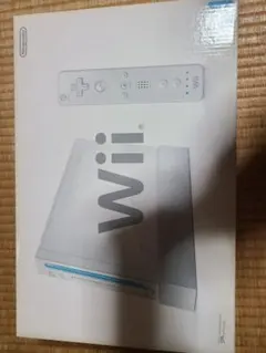 Wii 本体(RVL-001)