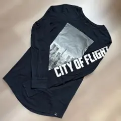 AIR JORDAN NIKE ナイキ　Tシャツ　ロンT 長袖Tシャツ