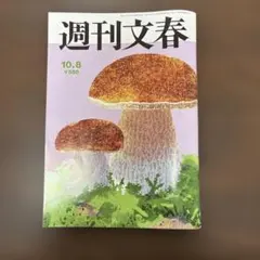 週刊文春 10月8日号 石原さとみ グラビア掲載