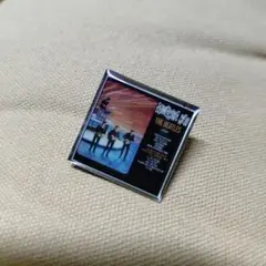 ☆The Beatles ピンバッジ ☆
