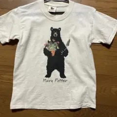 オーガニックコットンブランドHatley キッズTシャツ M(10-12)