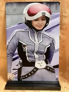 新品 アンヌ隊員とペガッサ星人 ブリキ・プレート
