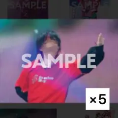 STPR Family EXPO!! すにすて らお B賞 5枚