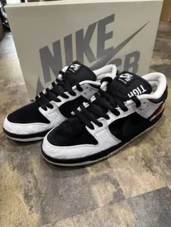 NIKE TIGHTBOOTH DUNK PRO タイトブース 28cm