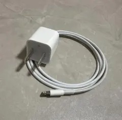 Apple純正　iPhone ライトニングケーブル（USB- A）➕アダプタ