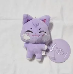 aniteez アイドル