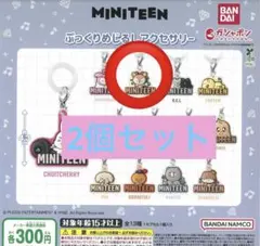 miniteen めじるし　ジョシュア