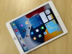 iPad Air2 (第2世代) 64GB Wi-Fi モデル (B3)