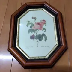 薔薇図譜 ルドゥーテ ボタニカルアート 植物細密画 大型 B4サイズ
