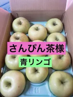 さんぴん茶様専用クール★もぎたてりんご★ 青りんご　11個
