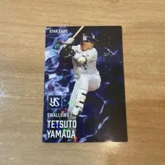 山田哲人 東京ヤクルトスワローズ　スターカード　 プロ野球チップス